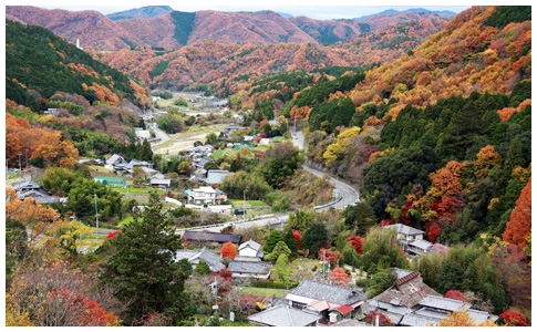 里山景観